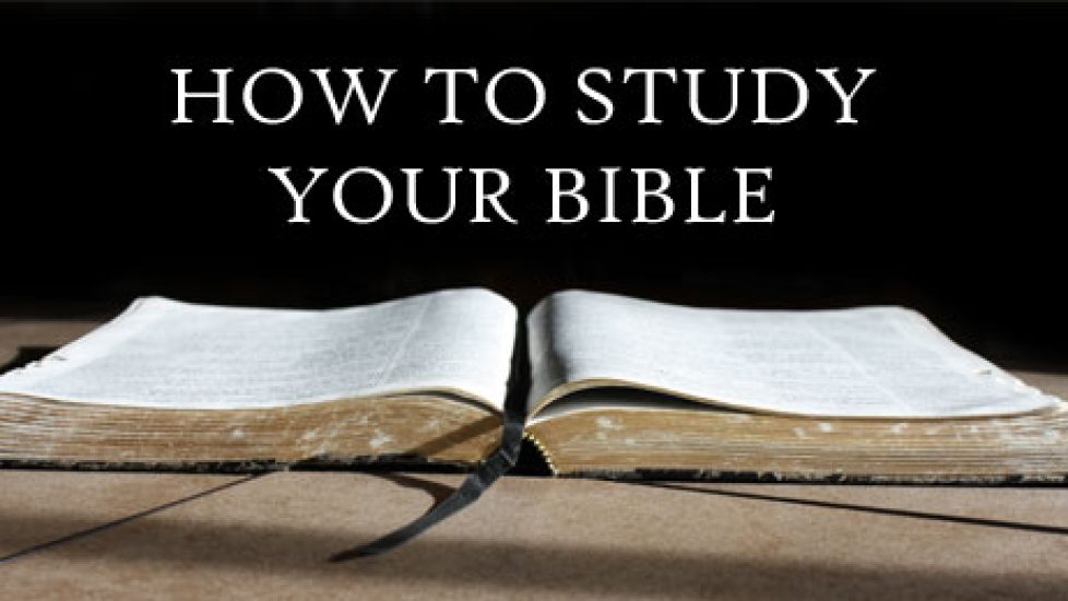 How to Study Your Bible