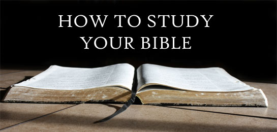 How to Study Your Bible