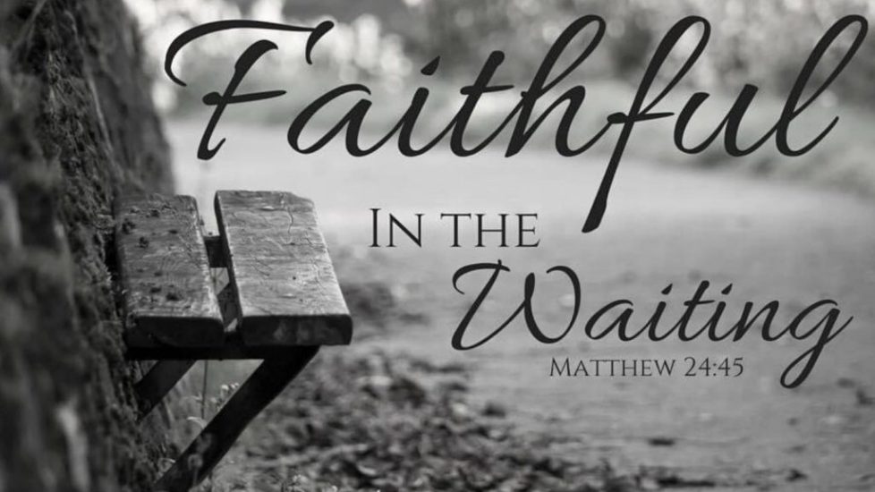 Matthew 24 45