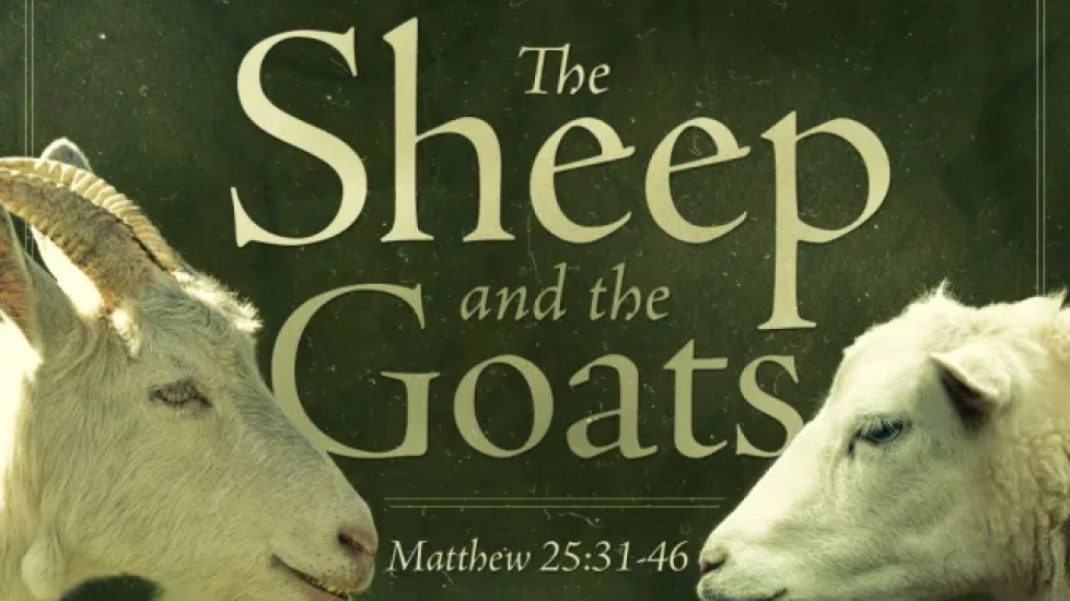 sheep-and-the-goats